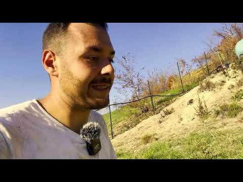 Come è Andata a Finire con il Vicino per l'INCENDIO🔥🌳??