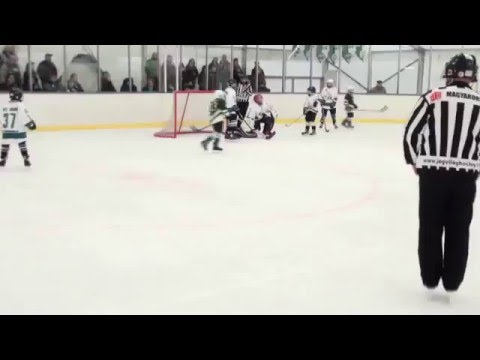 U12 392 White Sharks   FTC