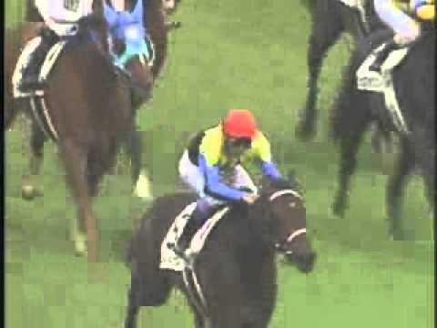 2005 Japanese Derby