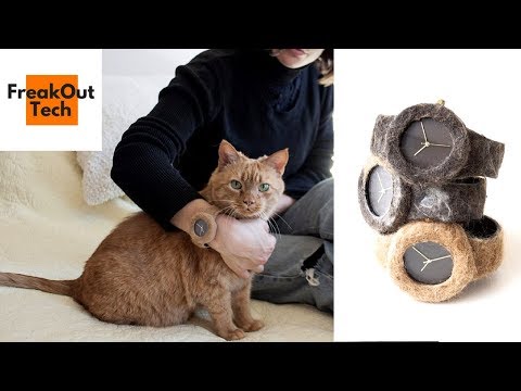 5 Cool Gadgets For You And Your Cat Video