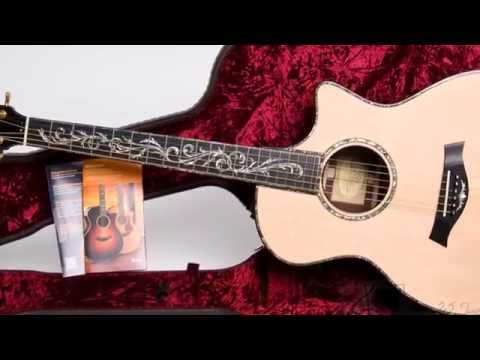 Taylor PS14ce