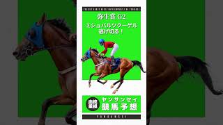 #競馬 #競馬予想 #弥生賞 #シュバルツクーゲル