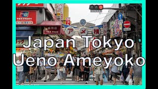 Japan Tokio Ueno Ameyoko Año Nuevo