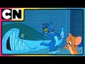 Tom Jerry Tom S Unique Idea Of A Lake House Cat The Mouse Cartoon For Kids Cnindia