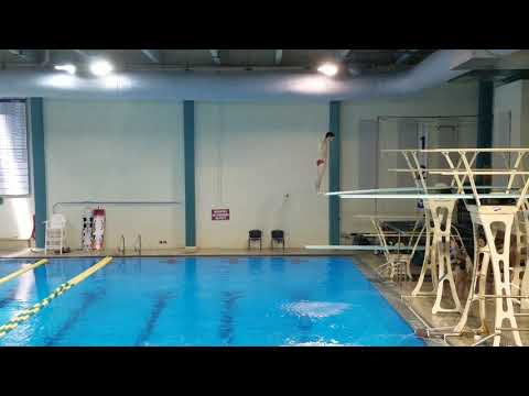 2017 UNCW Men's 3m - Dive 9 5233D