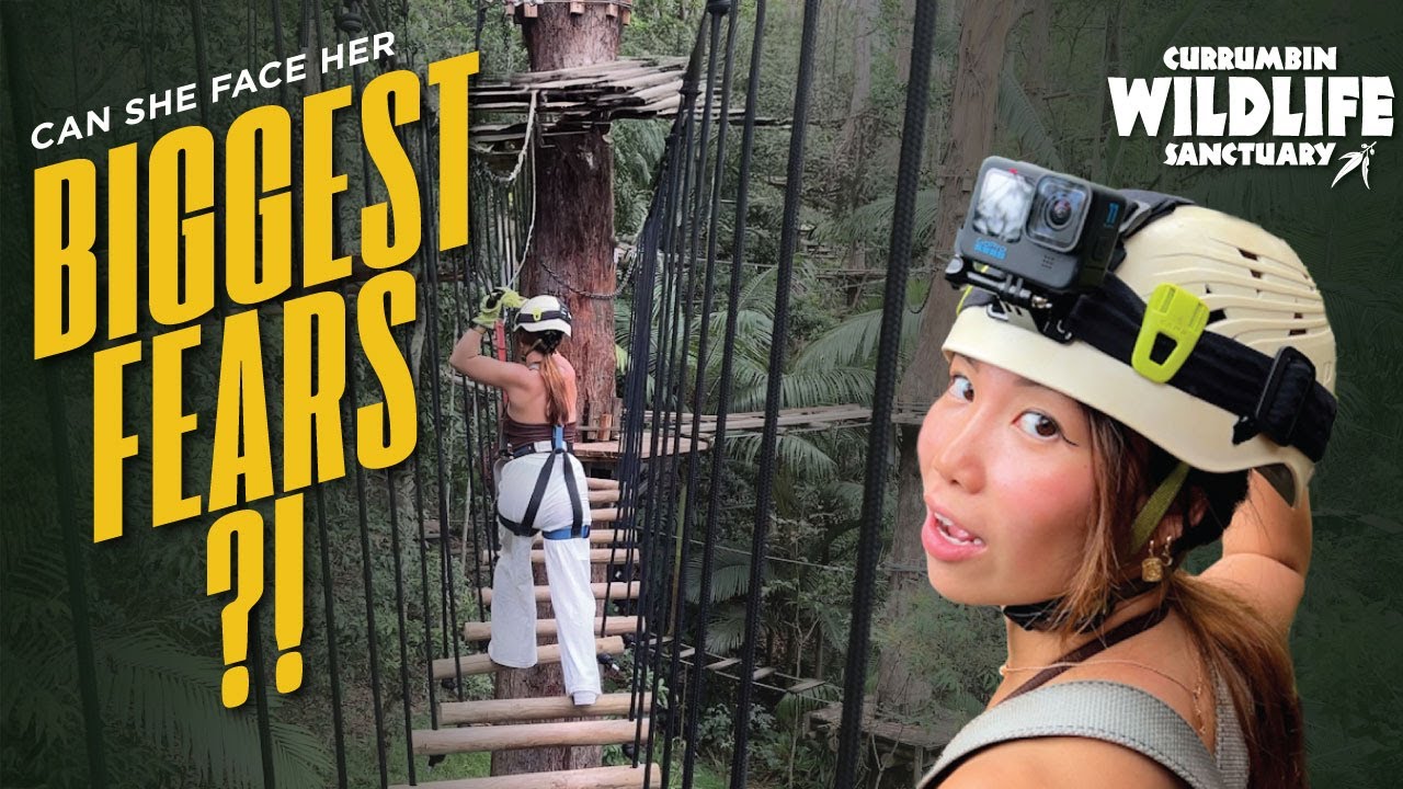 Join travelers as they experience Treetop Challenge at Currumbin Wildlife Sanctuary.