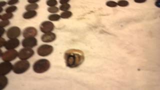 preview picture of video '11/04/2012 Metal Detector Finds.  1969 10k class Ring.'