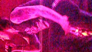 Eighteen Visions &quot;waiting for the heavens&quot;