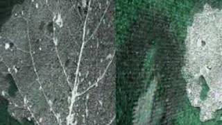 Dreaming My Life Away...