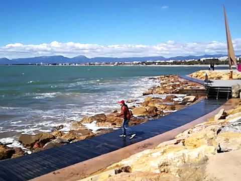 Neko Z Kun VS la Marea