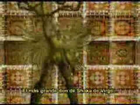 Tributo a Shaka de Virgo