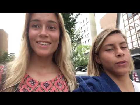 Pacha's Adventures: Japan Travel Vlog- Week 3