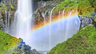 Re: [問卦] 日本哪個景點或美食跟你預期的不太一樣