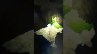 BHUJ      THE PRID OF INDIA STARTING FULL MOVIE ARE DISNEY+HOTSTAR      VIP AND PREMIUM MEMBERSHIP