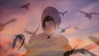 Goldfrapp - Little Bird