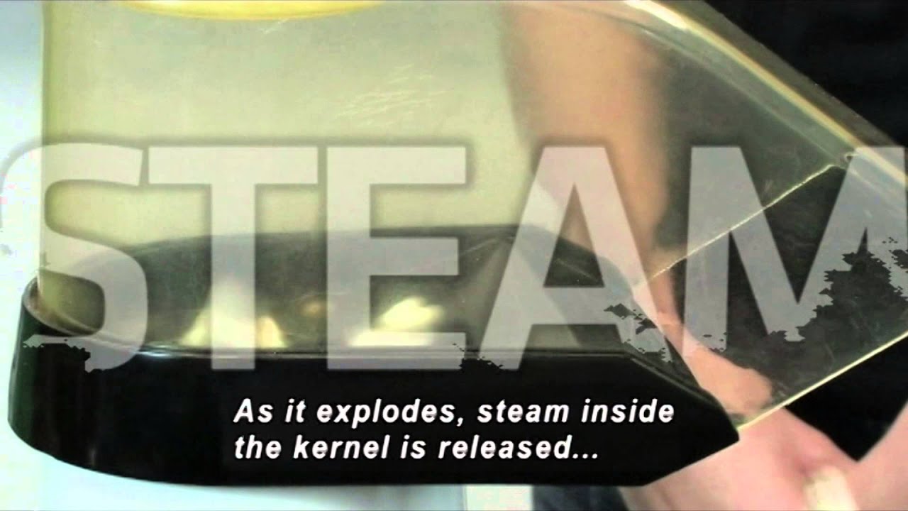 Food Science Experiments: What Makes Popcorn Pop? (Accessible Preview)