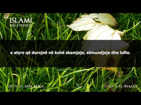 002. El-Bekare - Adil Rejan