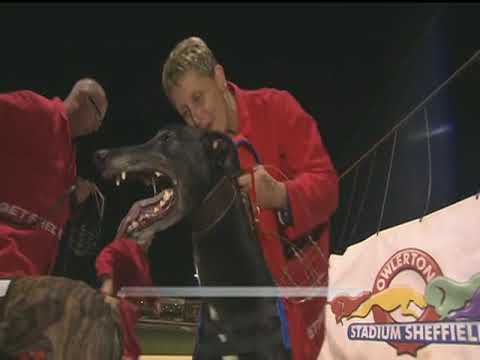 2017 BETFRED STANDARD B - T2 DANZEY EXCEPTION