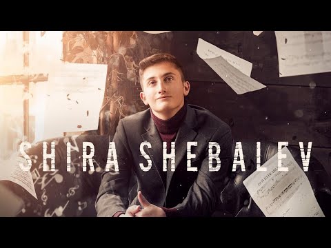 Dovid Pearlman - Shira Shebalev - Official Audio Sampler | דוד פרלמן - שירה שבלב