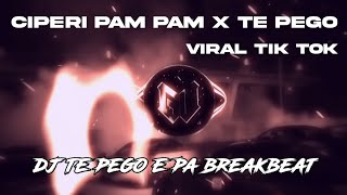 Download lagu DJ TE PEGO E PA BREAKBEAT || CIPERI PAM PAM X TE PEGO || VIRALL TIKTOKK mp3