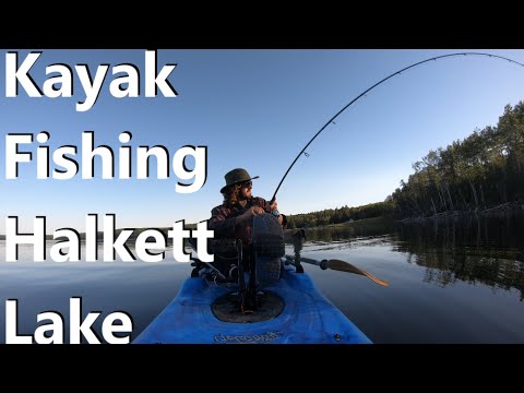 Pike Fishing on Halkett Lake