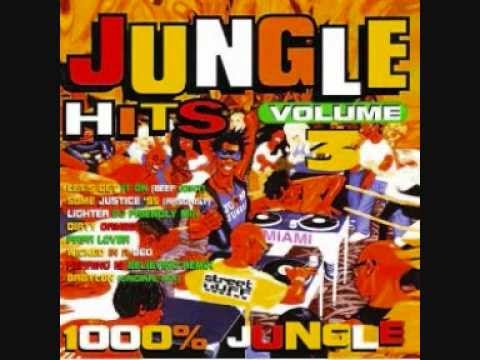 DJ SS feat Shabba Ranks-Wicked In a Bed