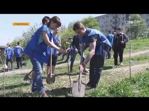 «Сады Победы» высадят в краевом центре Ставрополья