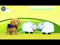 Super Why Short Clip In 4K Woofster Defines Echo
