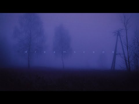 my head is empty, antent, miranda rain - i don't belong