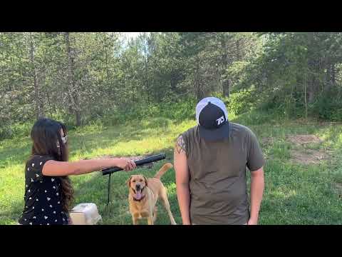 Testing my Cattle Prod