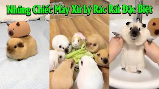 😄 Những Chiếc Máy Xử Lý Rác Rất Đặc Biệt 😂♻️ #senkhoc #thunuoihaivl #ytshortsvietnam #meohera