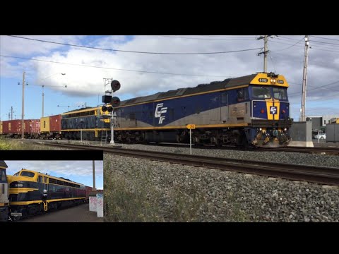 G512 & S303 - Ultima Goods