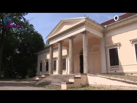 Najava Moja lepa Srbija Čelarevo