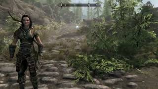 Completely Natural Skyrim Behavior