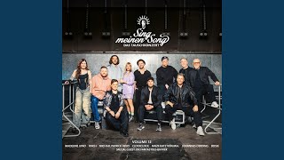 Kreisverkehr (Roundabouts) (aus "Sing Meinen Song, Vol. 12") Lyrics English Translation