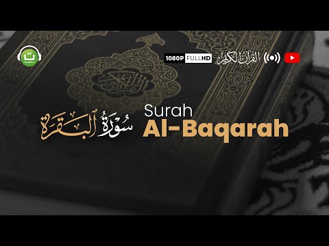 Tadabbur Surah Al-Baqarah (سورة البقرة) | Beautiful Quran Recitation