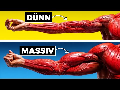 DIE EINZIGEN 3 ÜBUNGEN FÜR BIZEPS DIE DEIN SHIRT AUSFÜLLEN