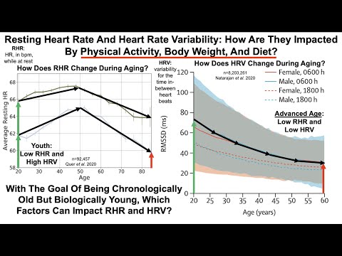 image-Does Weight Affect heart rate?
