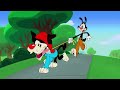 All Animaniacs Gags Variations In Over 3 Minutes