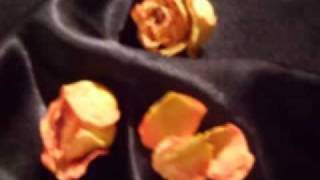 Sag mir wo die Blumen sind