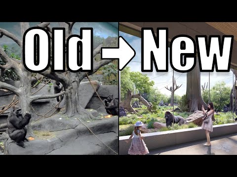 The NEW Tropical Forests at the Brookfield Zoo