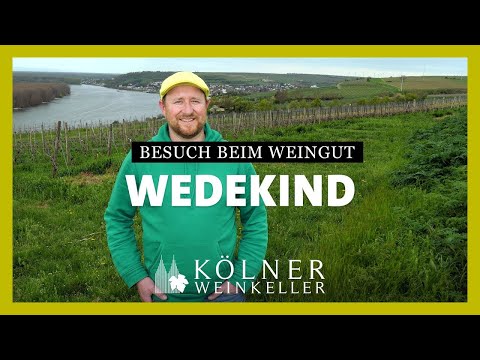 Kölner Weinkeller | Interview mit Philipp Wedekind – Der PiWi Shooting-Star
