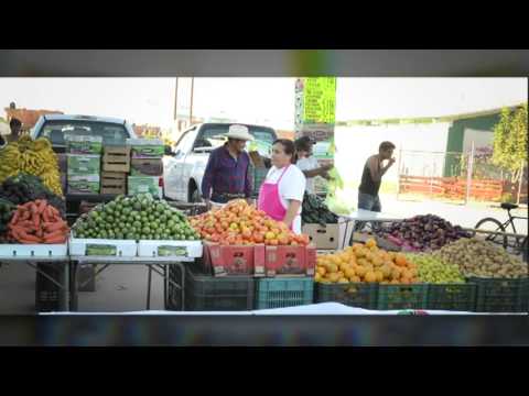 Inauguración 1er Congreso Nacional CNOP