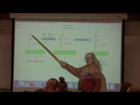 32. Ahern's BB 350 at Oregon State University - Fatty Acid Synthesis