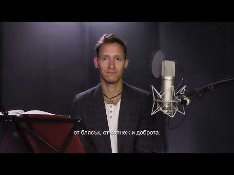 Слънчоглед