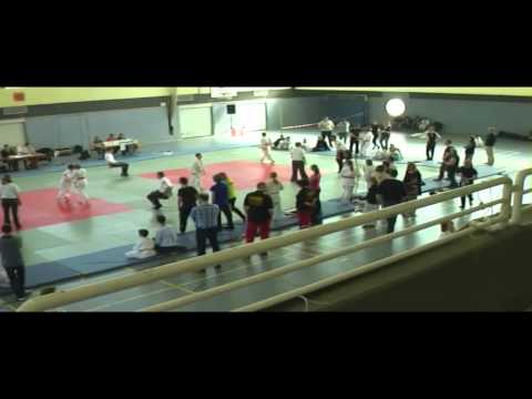 Spielvereinigung Blau-Weiß 96 Schenefeld