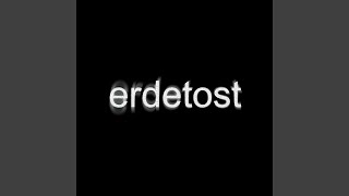 Cover art for Erdetspill temasang