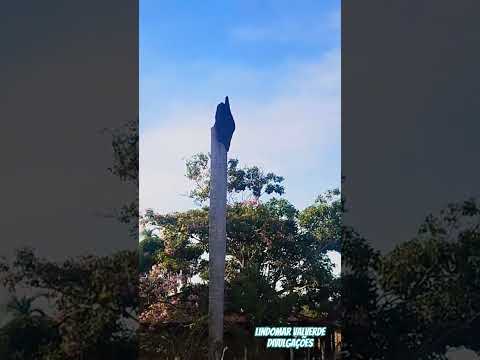 Natureza no Município de Guapó Goiás