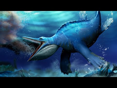 Ancient Filter Feeding Reptile had a Freaky Similarity with Modern Whales - Hupehsuchus