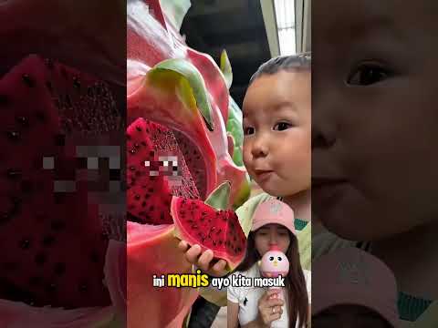 Kereta api semangka atau buah naga 🧐 #shorts #dubbing